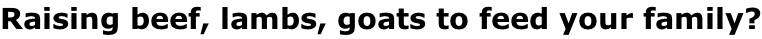 Raising beef, lambs, goats to feed your family?